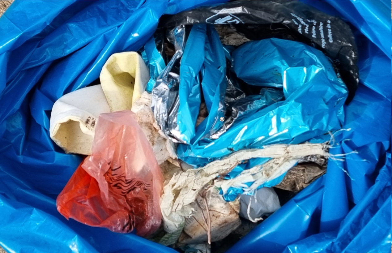 /images/about-meissa/03plastik-aktion/plastic-findings/2025_03_22.png