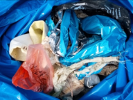 /images/about-meissa/03plastik-aktion/plastic-findings/2025_03_22.png
