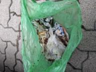 /images/about-meissa/03plastik-aktion/plastic-findings/2025_04_27.jpg
